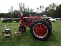 Soubor: DSC01800.JPG